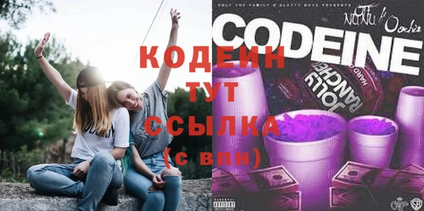 шишки Баксан