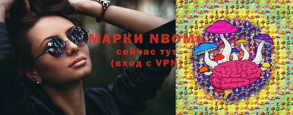 сатива Балахна