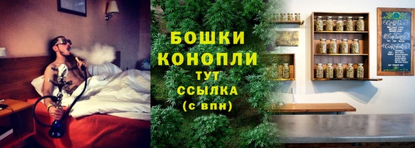 шишки Баксан