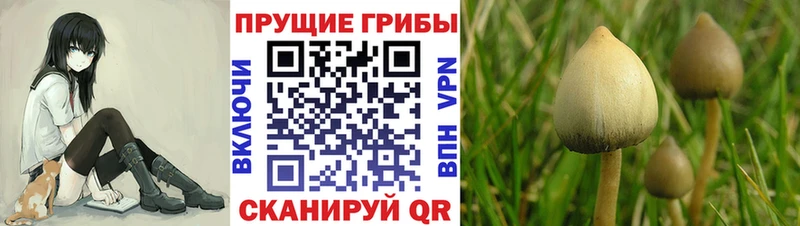 Галлюциногенные грибы ЛСД  это Telegram  Воронеж 